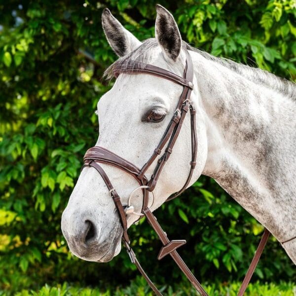 Prestige Hoofdstel Anatomisch E141