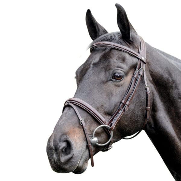 Prestige Hoofdstel Fancy Raised 3E083