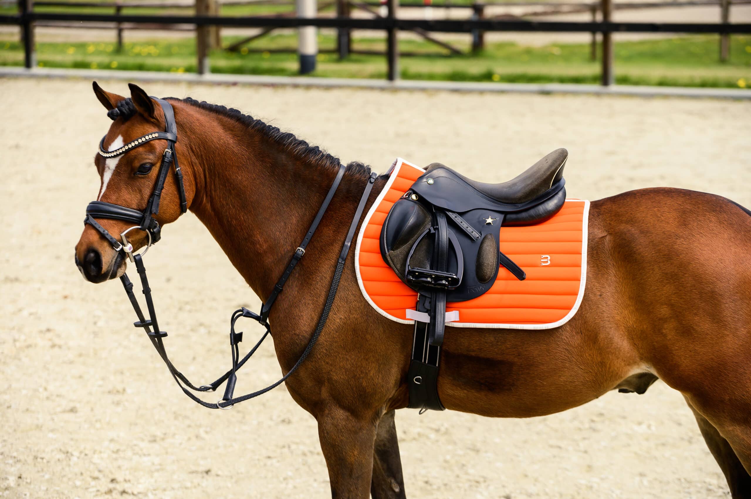 Vegen zwaard Vier Pony zadel | CW Saddles | Nº1 Kwaliteit voor je paard!