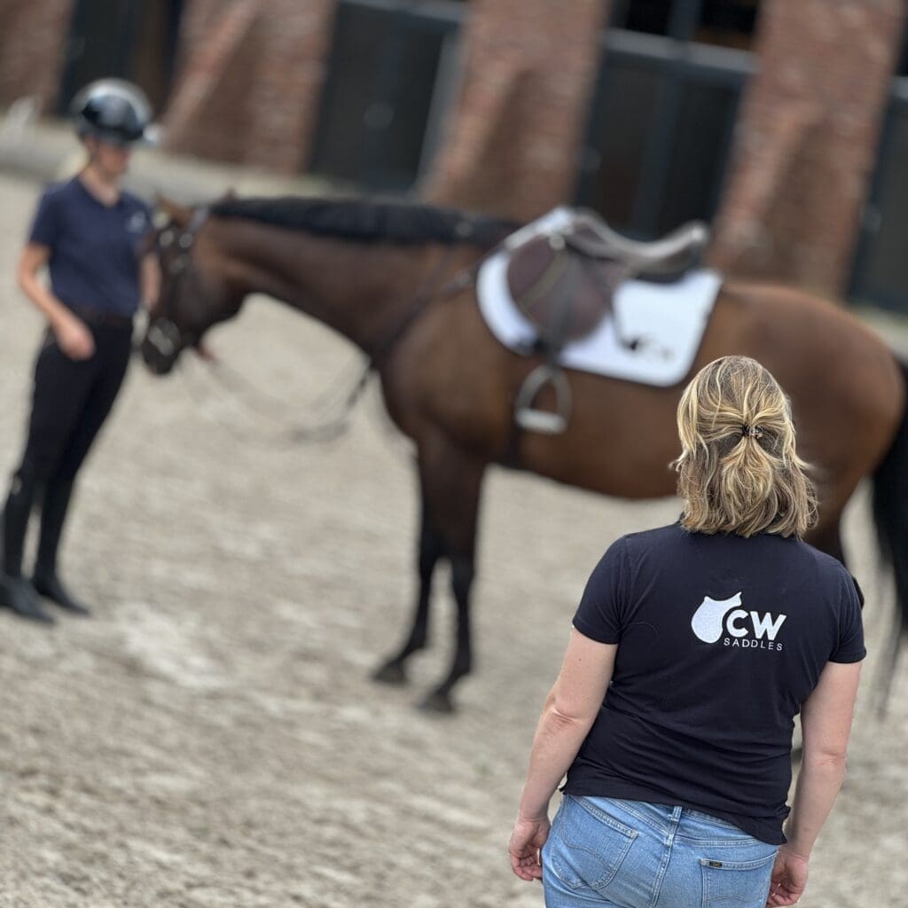 Een paard kopen: Waar moet je op letten?