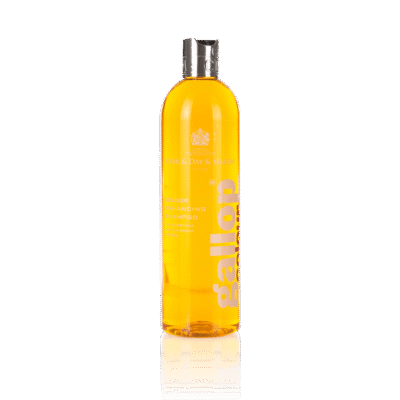 Carr & Day & Martin Gallop® Shampoo Chestnut & Palomino