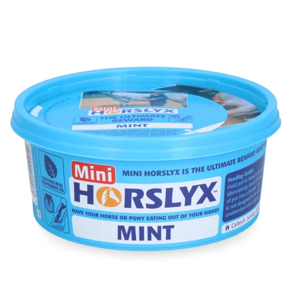 Horslyx Mini Mint liksteen