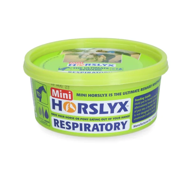 Horslyx Mini Respiratory Luchtwegen liksteen
