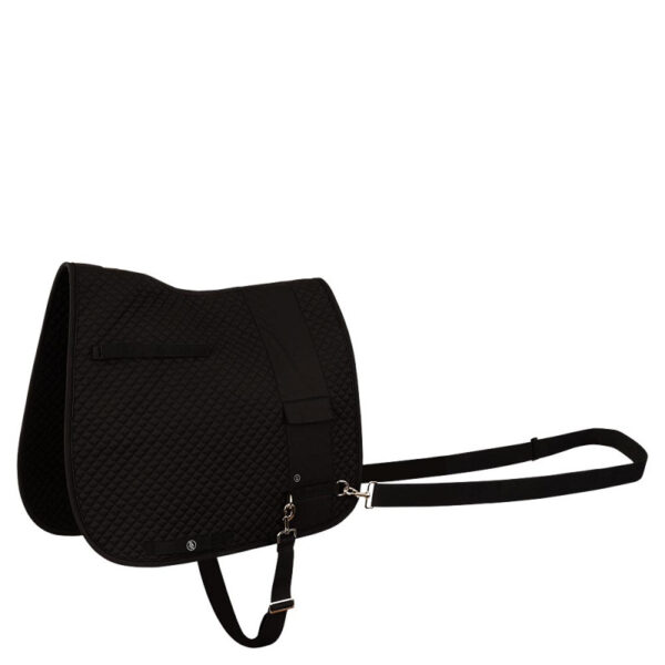 BR longeer trainingspad Alaska