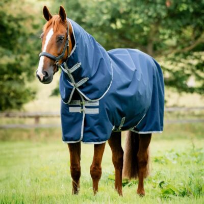 Paardendekens