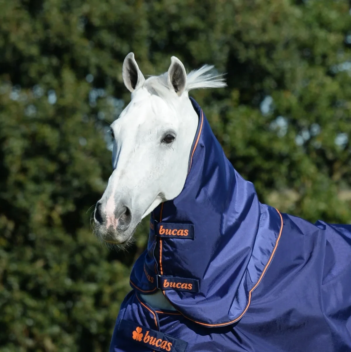 Bucas Therapy Turnout Halsstuk