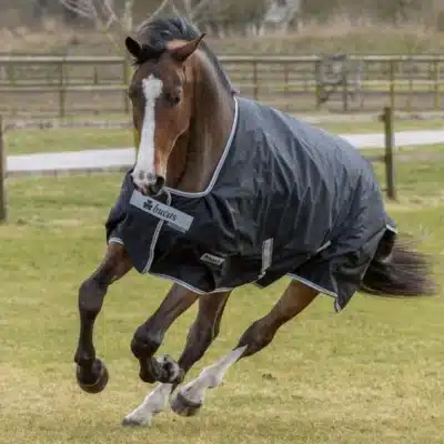 Bucas deken Anniversary Turnout Light Stay-Dry 0g