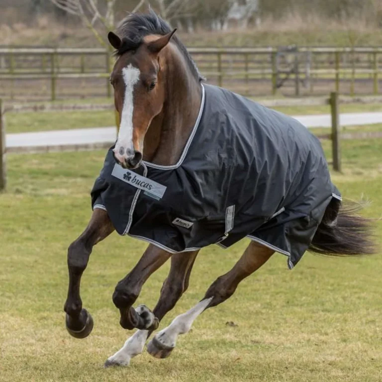 Bucas deken Anniversary Turnout Light Stay-Dry 0g