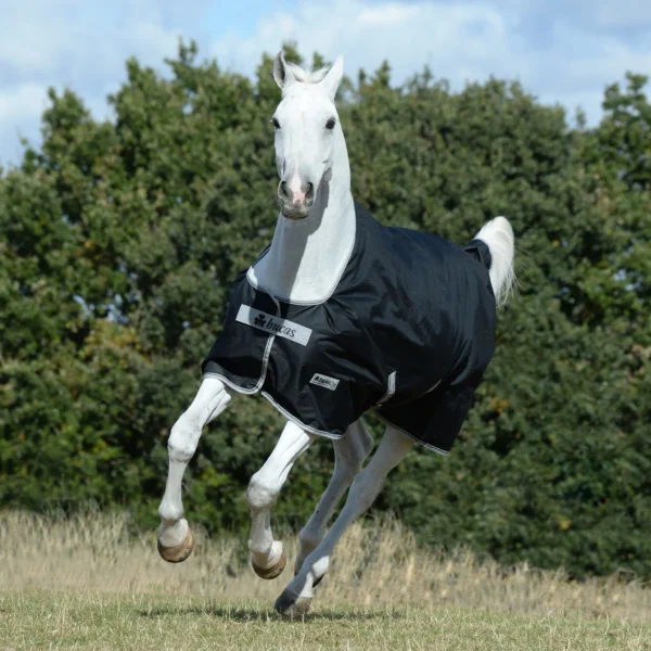 Bucas deken Anniversary Turnout Light Stay-Dry 0g