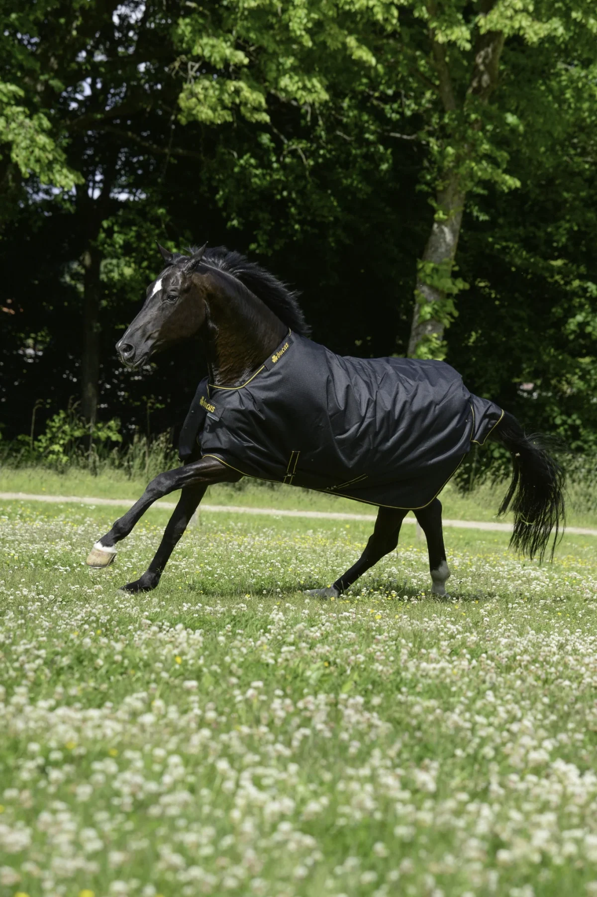 Bucas deken Irish Turnout Light 50