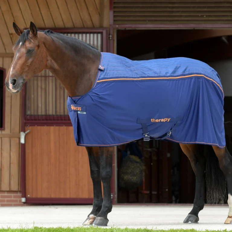 Bucas deken Therapy Cooler