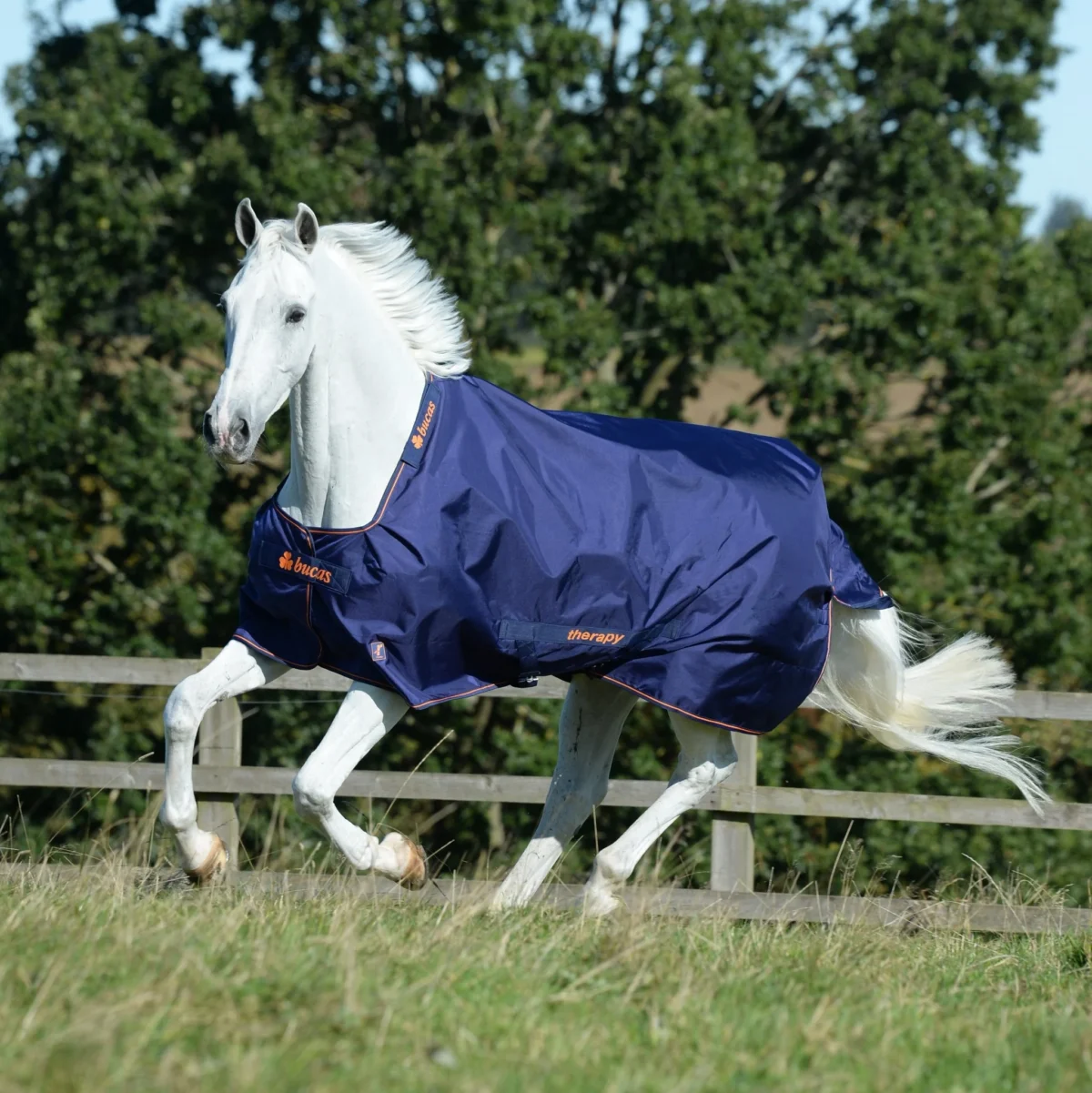 Bucas deken Therapy Turnout 150