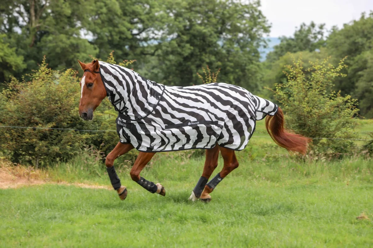 Bucas vliegendeken Buzz-Off Zebra met losse hals