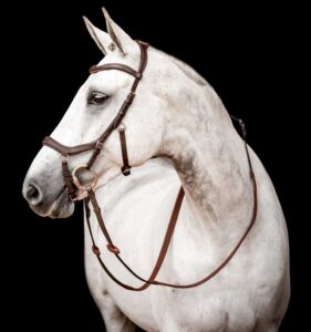 Horseware Rambo Micklem Hoofdstel 2 Competition