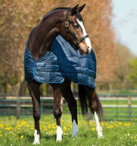 Horseware onderdeken Liner 100g Light