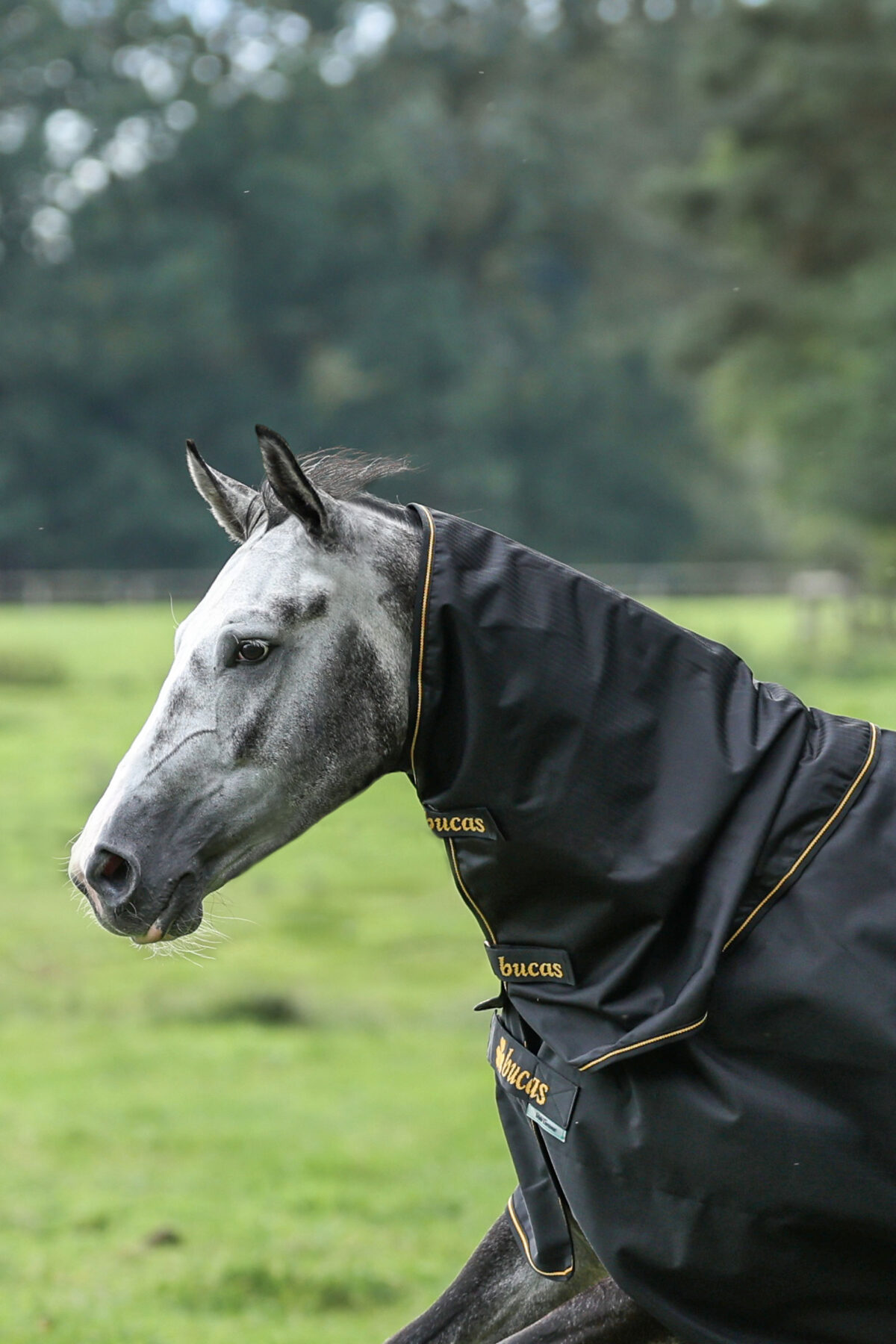 Bucas halsdeel Irish 0g