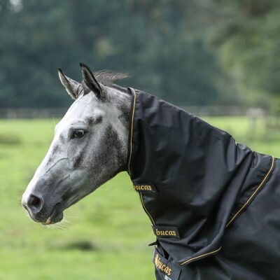 Bucas halsdeel Irish 0g
