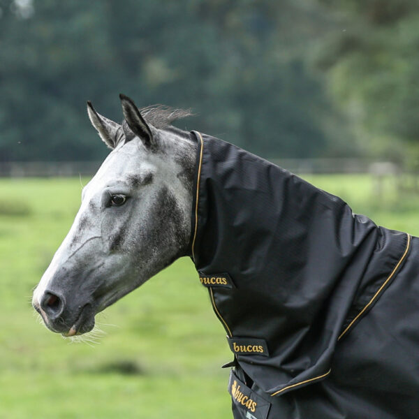 Bucas halsdeel Irish 0g