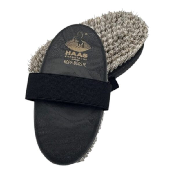 Haas Hoofdborstel