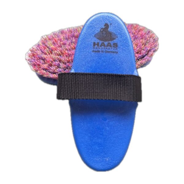 Haas Borstel Wurzelkardätsche Damen Multi