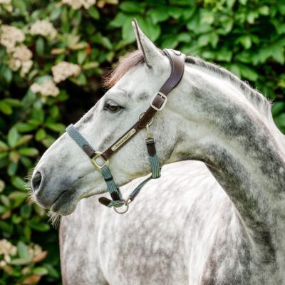 Horseware Halster Signature Braided
