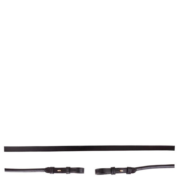 BR lederen stangteugels rond genaaid