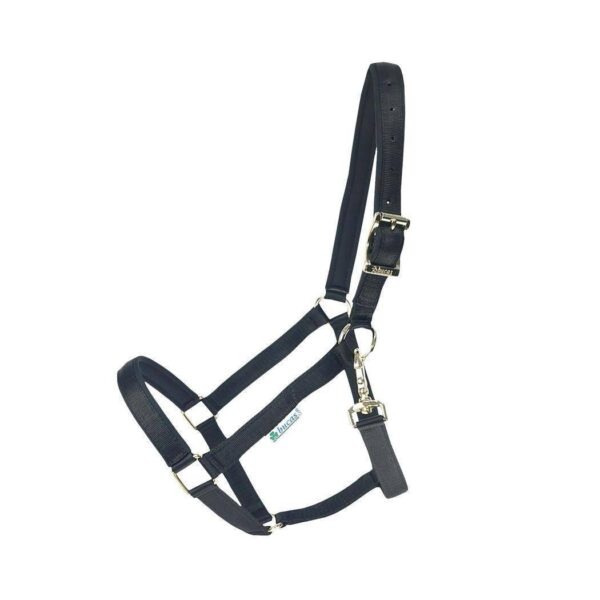 Bucas Halster Dublin Veulen