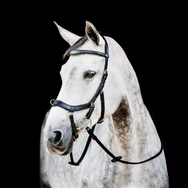 Horseware Rambo Micklem 2 Multi Hoofdstel