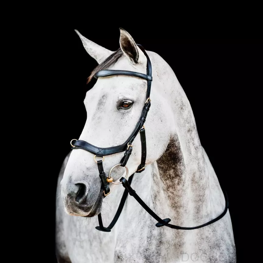 Horseware Rambo Micklem 2 Multi Hoofdstel