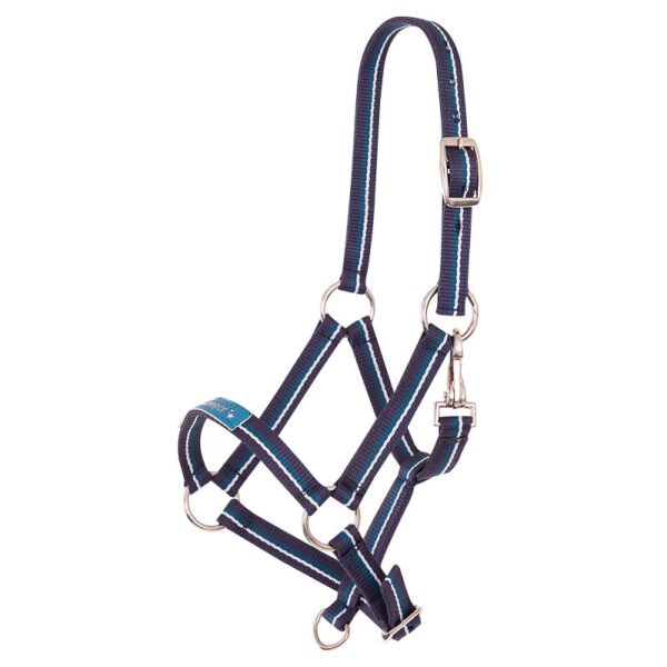 Premiere veulenhalster Fun