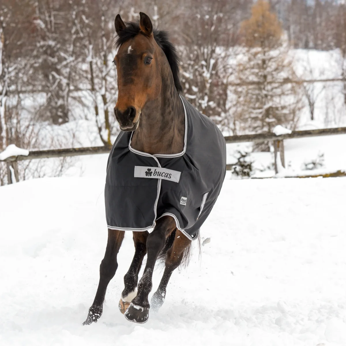 Bucas Anniversary Turnout 150 Stay-Dry