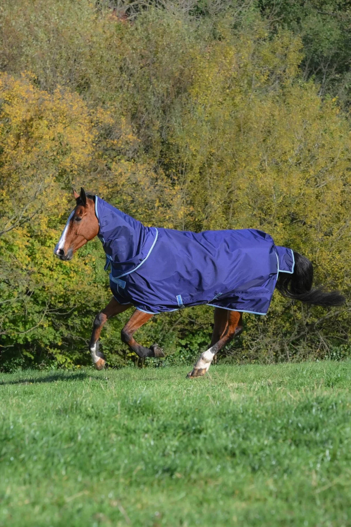 Bucas Atlantic Exclusive 150 & Neck