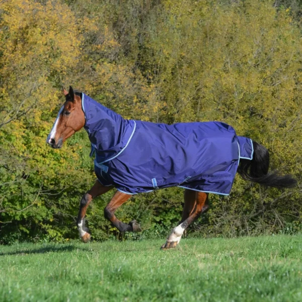 Bucas Atlantic Exclusive 150 & Neck