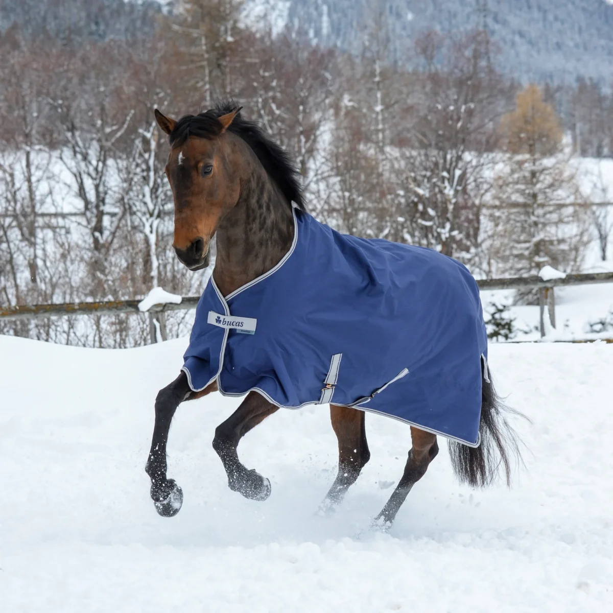 Bucas Freedom Turnout 150