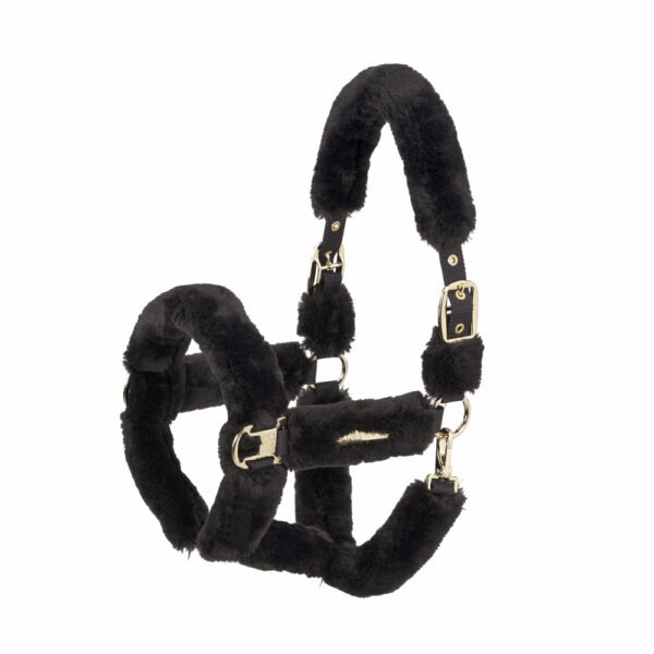 Eskadron Bont Halster Heritage