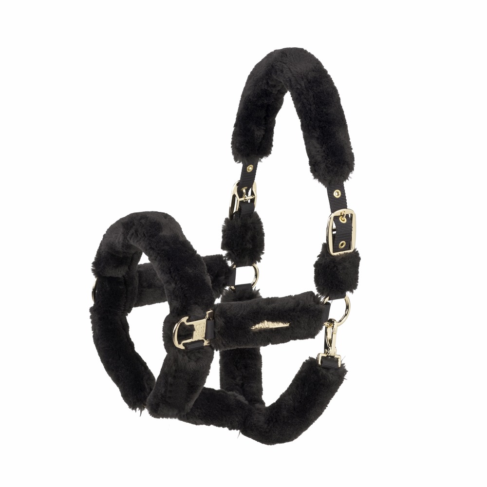 Eskadron Bont Halster Heritage