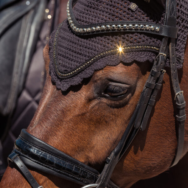 Eskadron Heritage 2025/2026