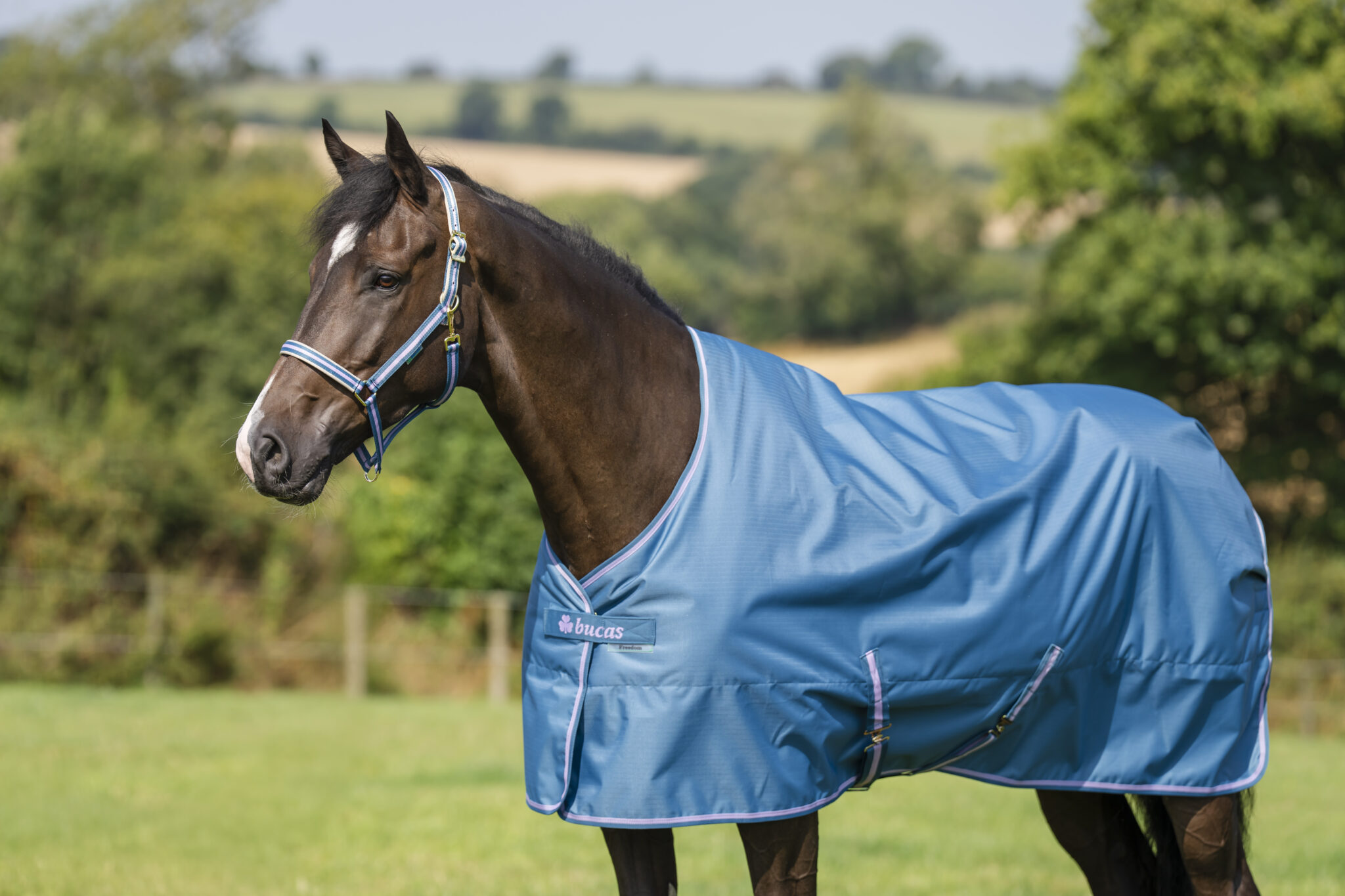 Bucas Freedom Turnout 300 - Afbeelding 7