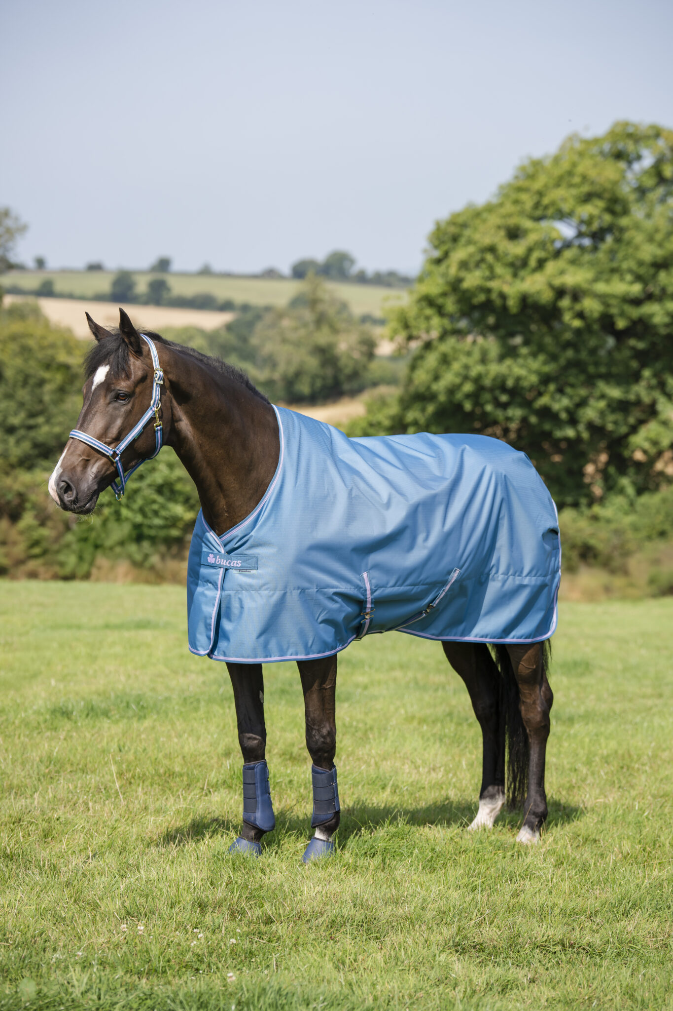 Bucas Freedom Turnout 300 - Afbeelding 5