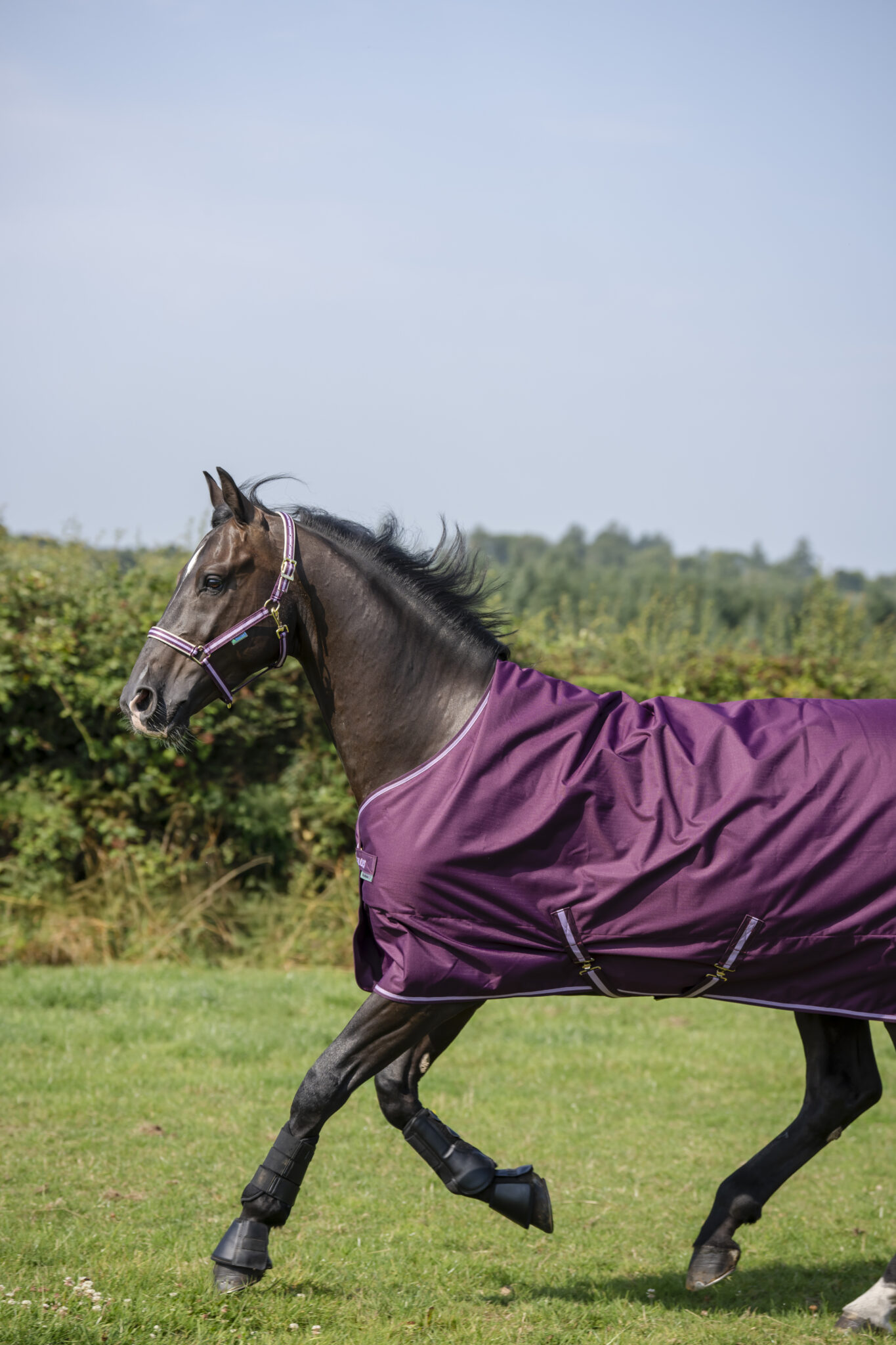 Bucas Freedom Turnout 300 - Afbeelding 9