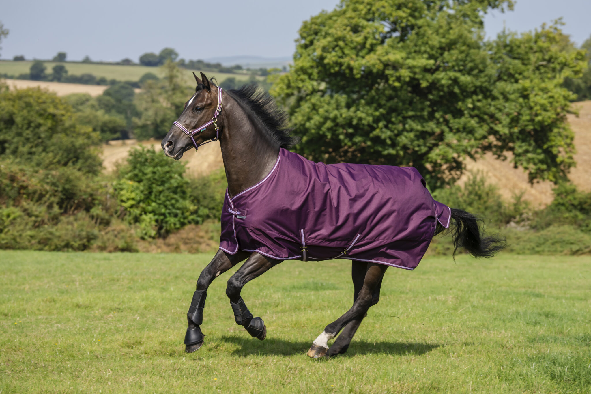 Bucas Freedom Turnout 300 - Afbeelding 10