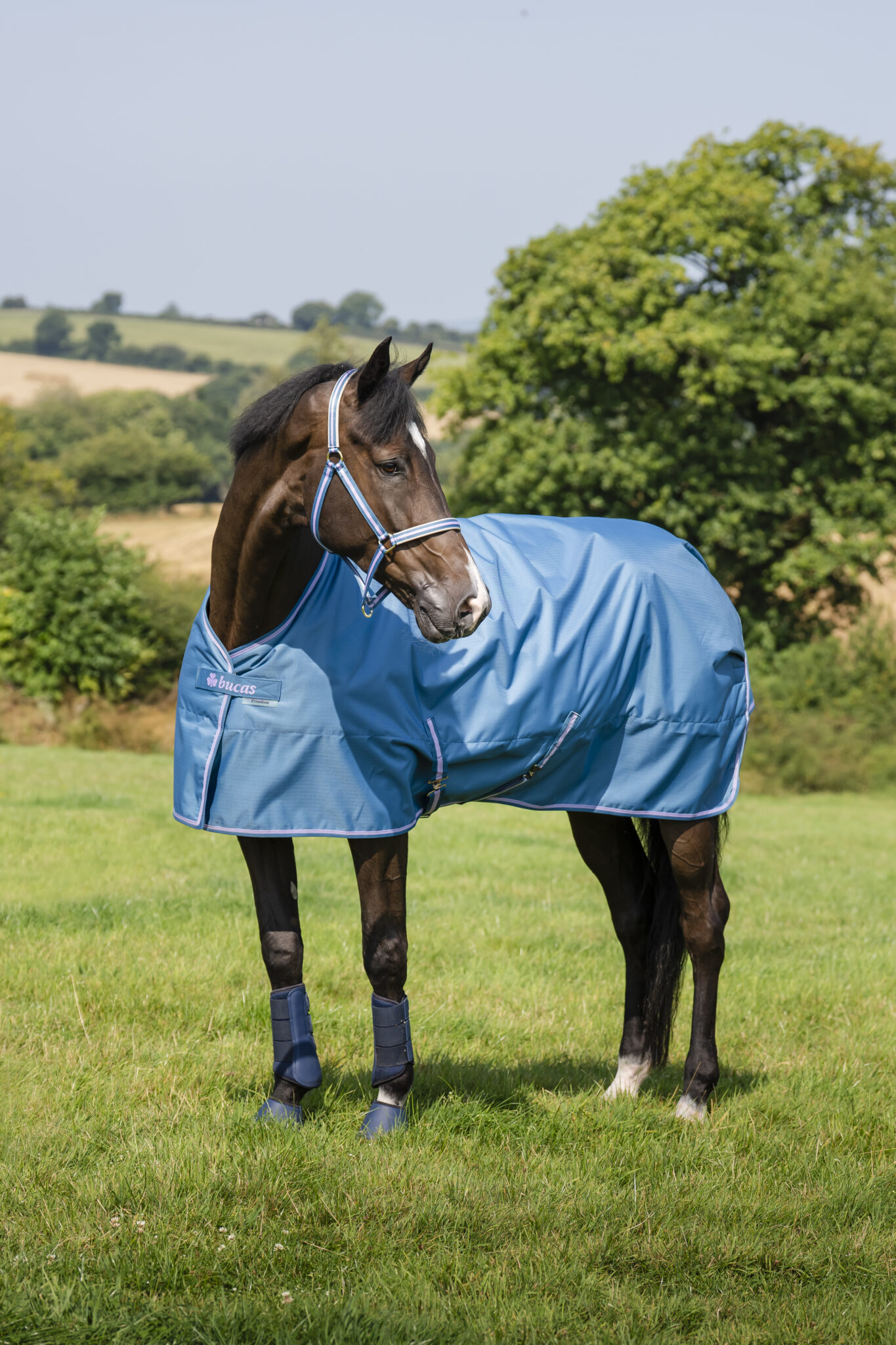 Bucas Freedom Turnout 300 - Afbeelding 8