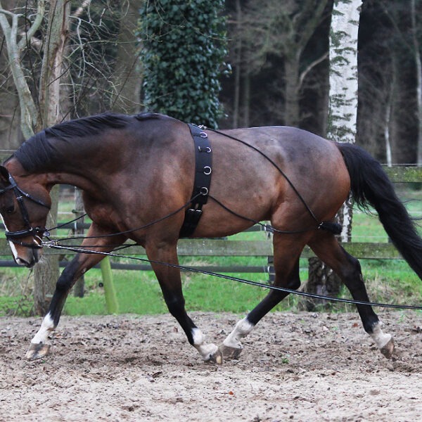 Horka Pessoa Longeerhulp