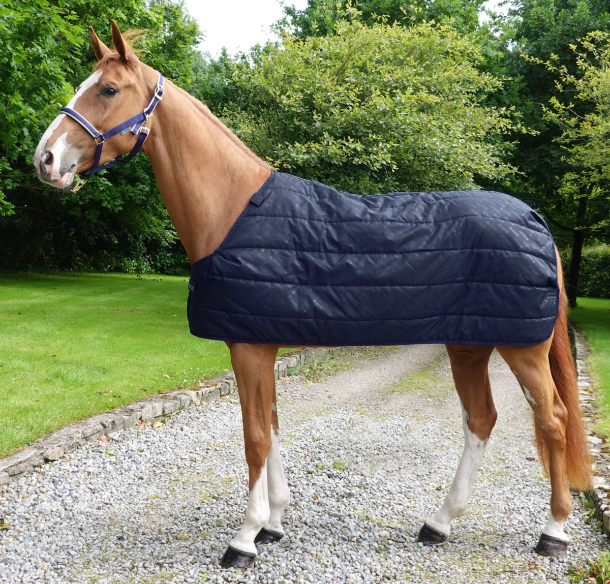 Bucas Liner Onderdeken