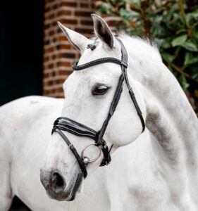 Horseware Hoofdstel Diamante