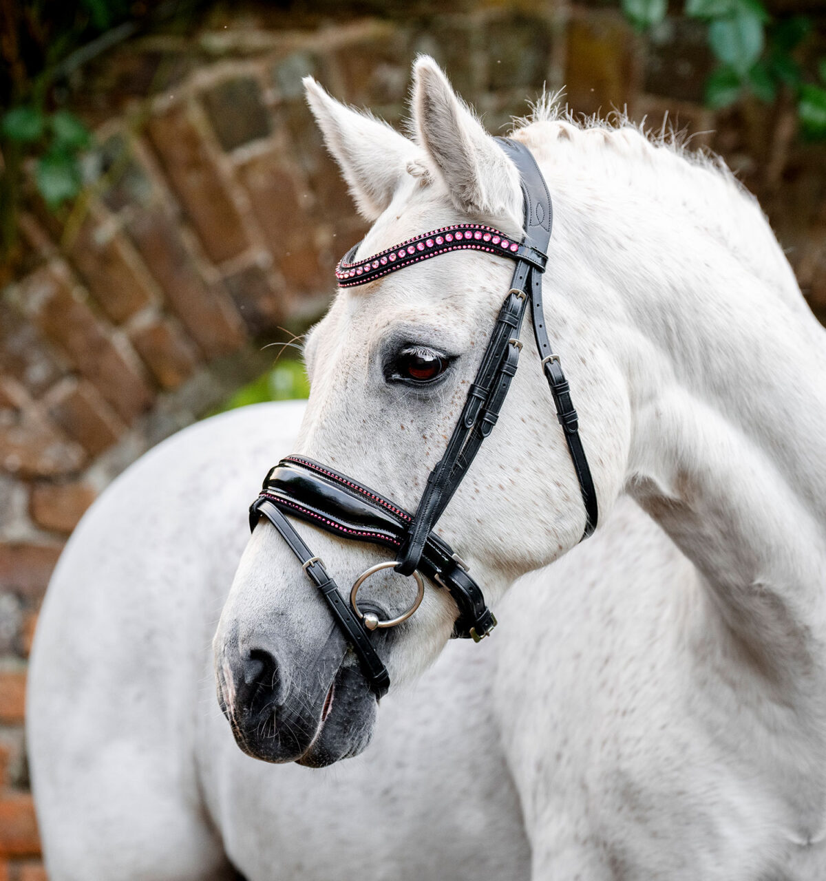 Horseware Pony Hoofdstel Diamante