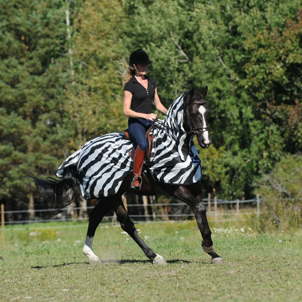 Bucas Buzz-Off Riding Zebra