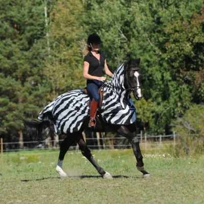 Bucas Buzz-Off Riding Zebra
