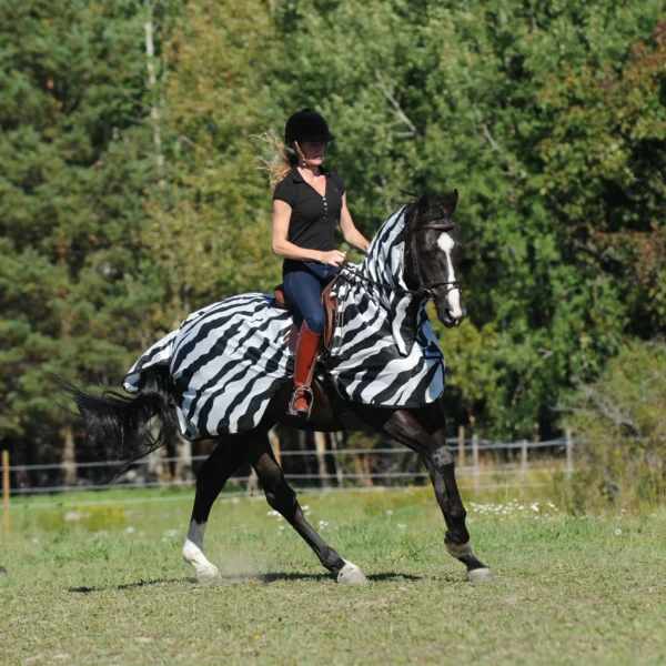 Bucas Buzz-Off Riding Zebra