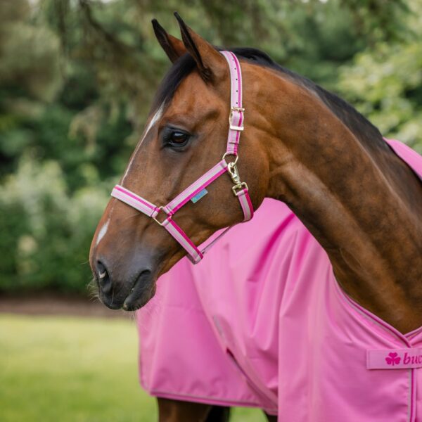 Bucas Halster Dublin Aurora Pink